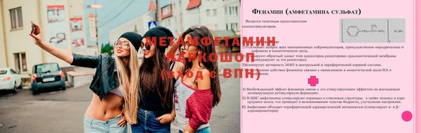 молекула духа Белокуриха
