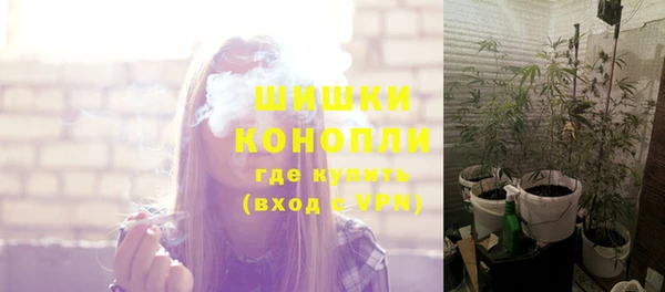 молекула духа Белокуриха