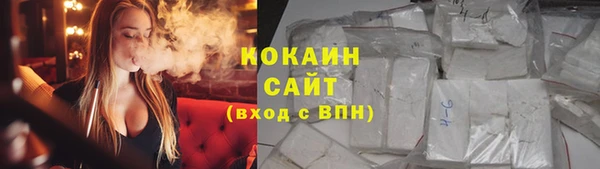 молекула духа Белокуриха