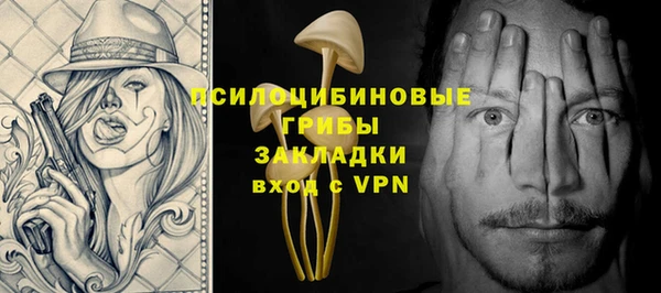 молекула духа Белокуриха