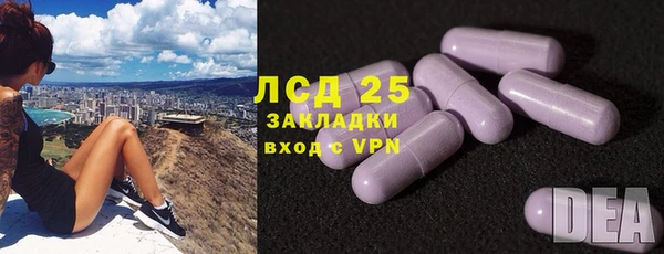 молекула духа Белокуриха
